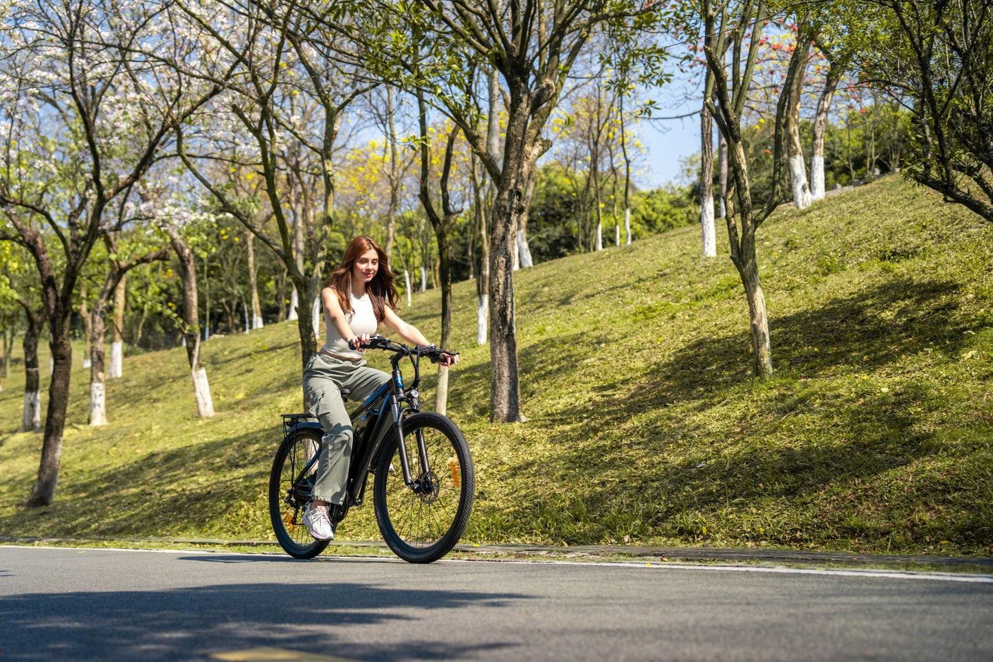 Duotts C29 Pro - Elcykel - Wheelyshop