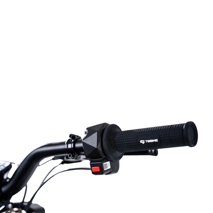 79BIKE Lynx Trail