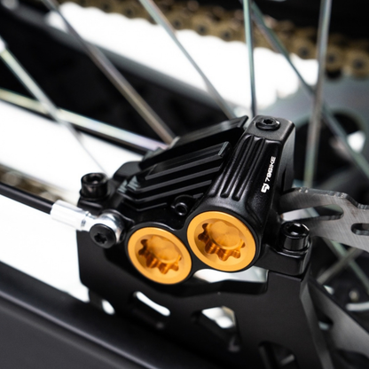 79BIKE Lynx Trail