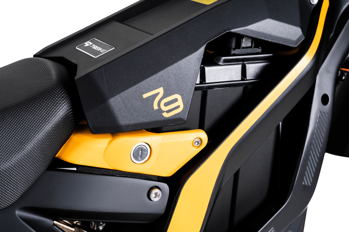 Ramen på 79BIKE Falcon Pro RL