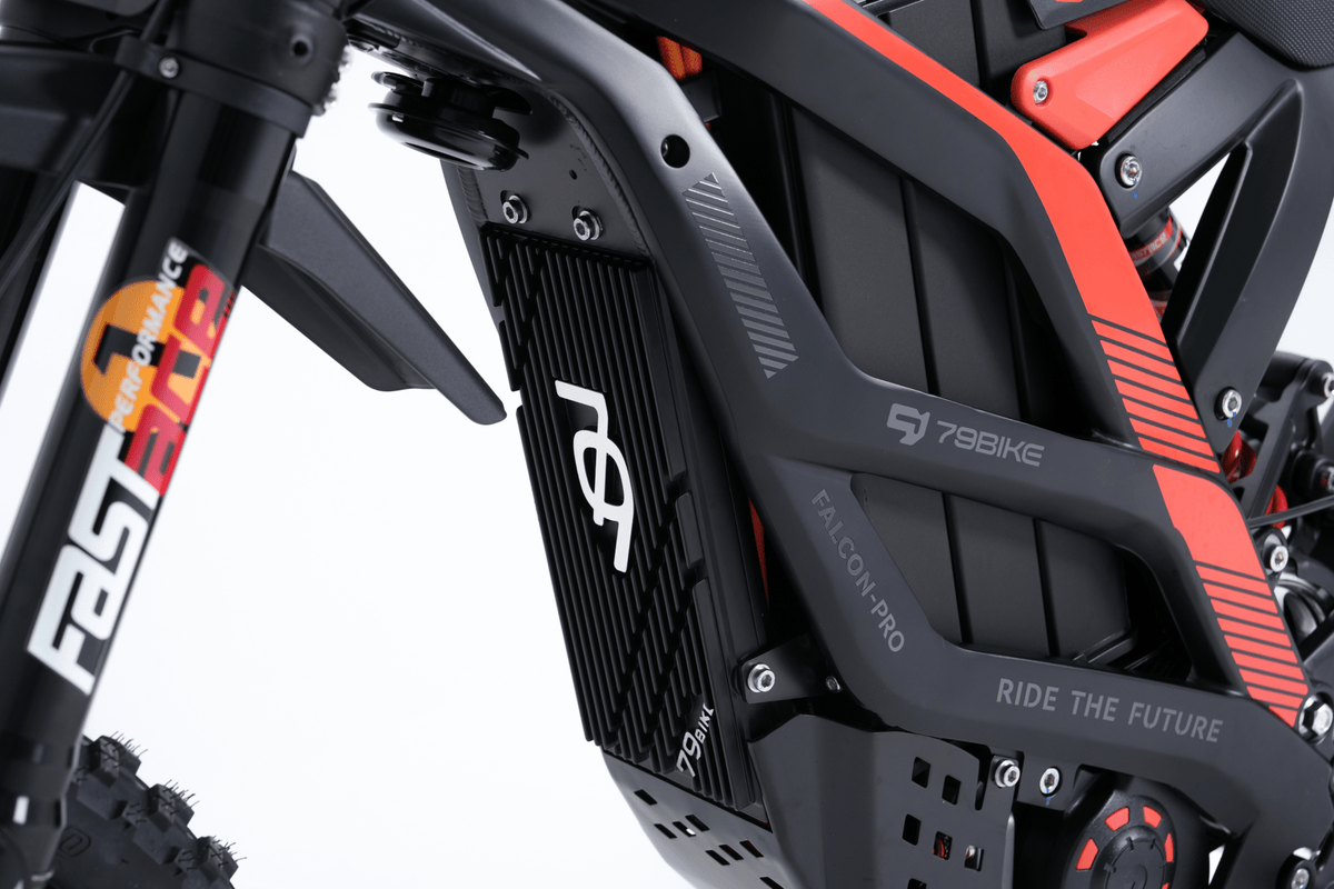 Ramen på 79BIKE Falcon Pro RL
