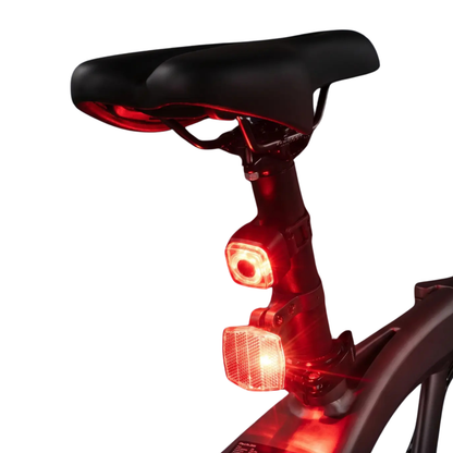 DYU SP1 - Electric bike - Wheelyshop