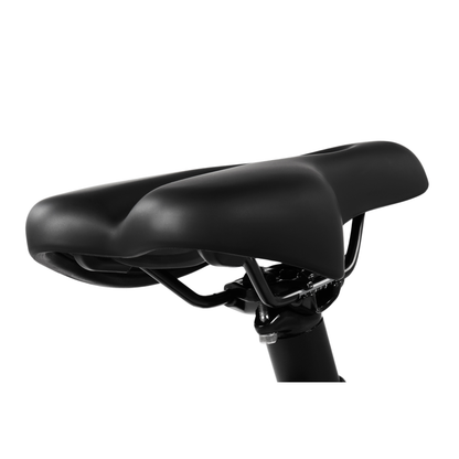 DYU SP1 - Electric bike - Wheelyshop