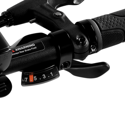DYU SP1 - Electric bike - Wheelyshop