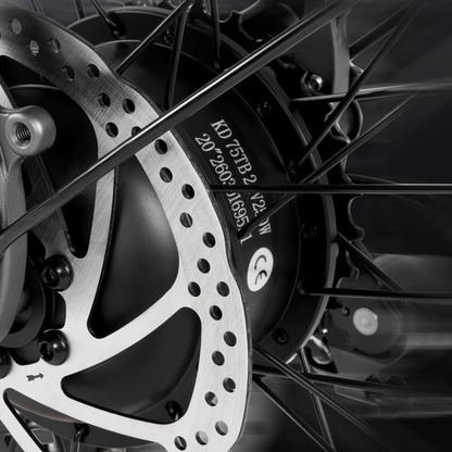 DYU SP1 - Electric bike - Wheelyshop