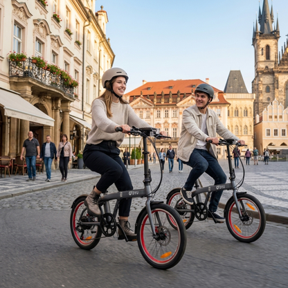 DYU SP1 - Electric bike - Wheelyshop