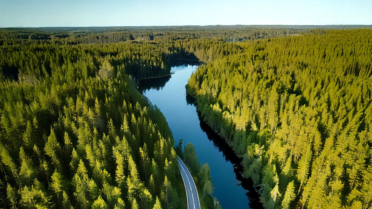 Skogslandskap med väg och vatten