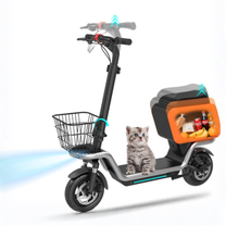 Informationsbild med text om HX S20 elsparkcykel