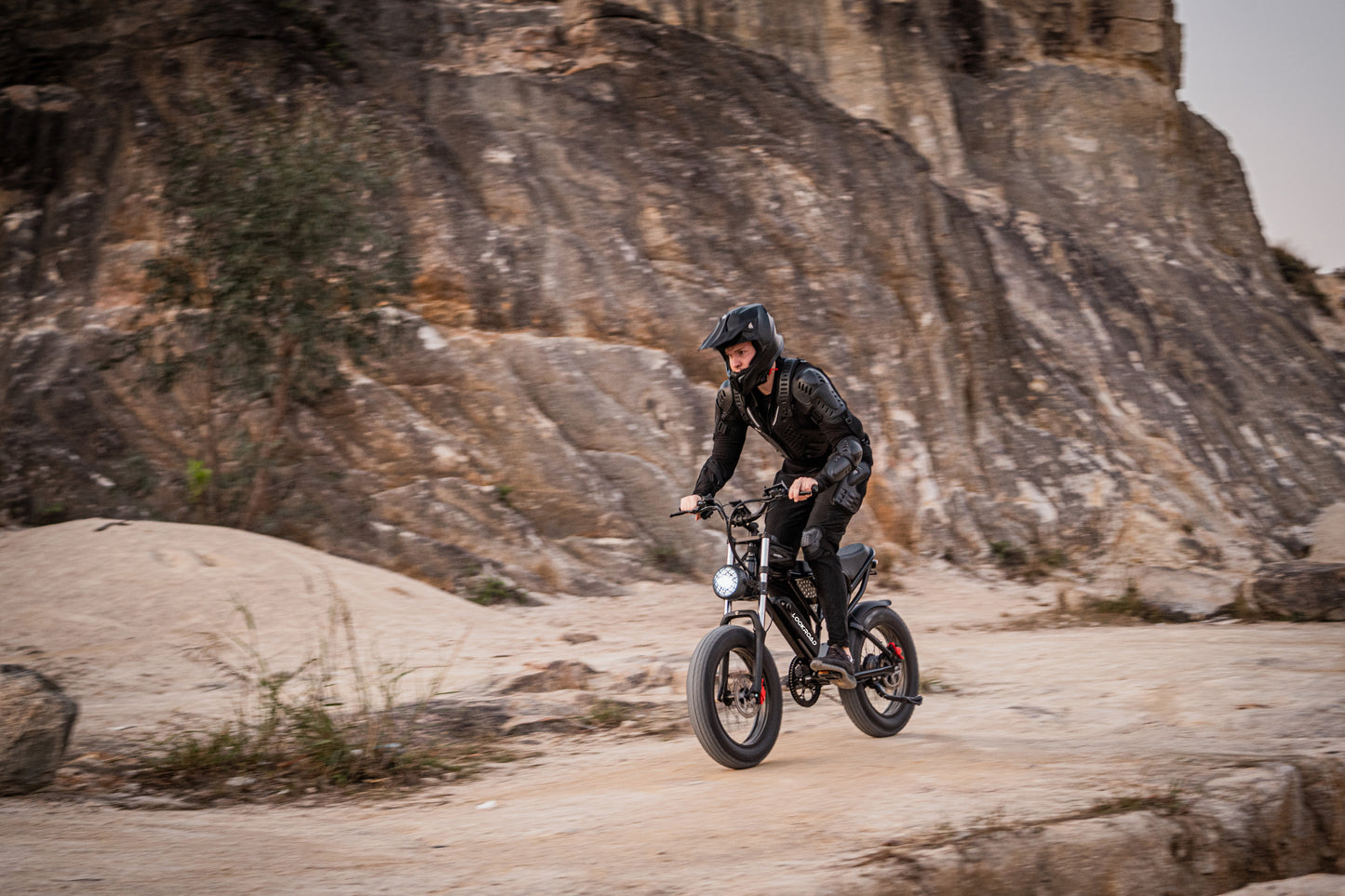 LOOKROAD L20 - Electric bike - Wheelyshop