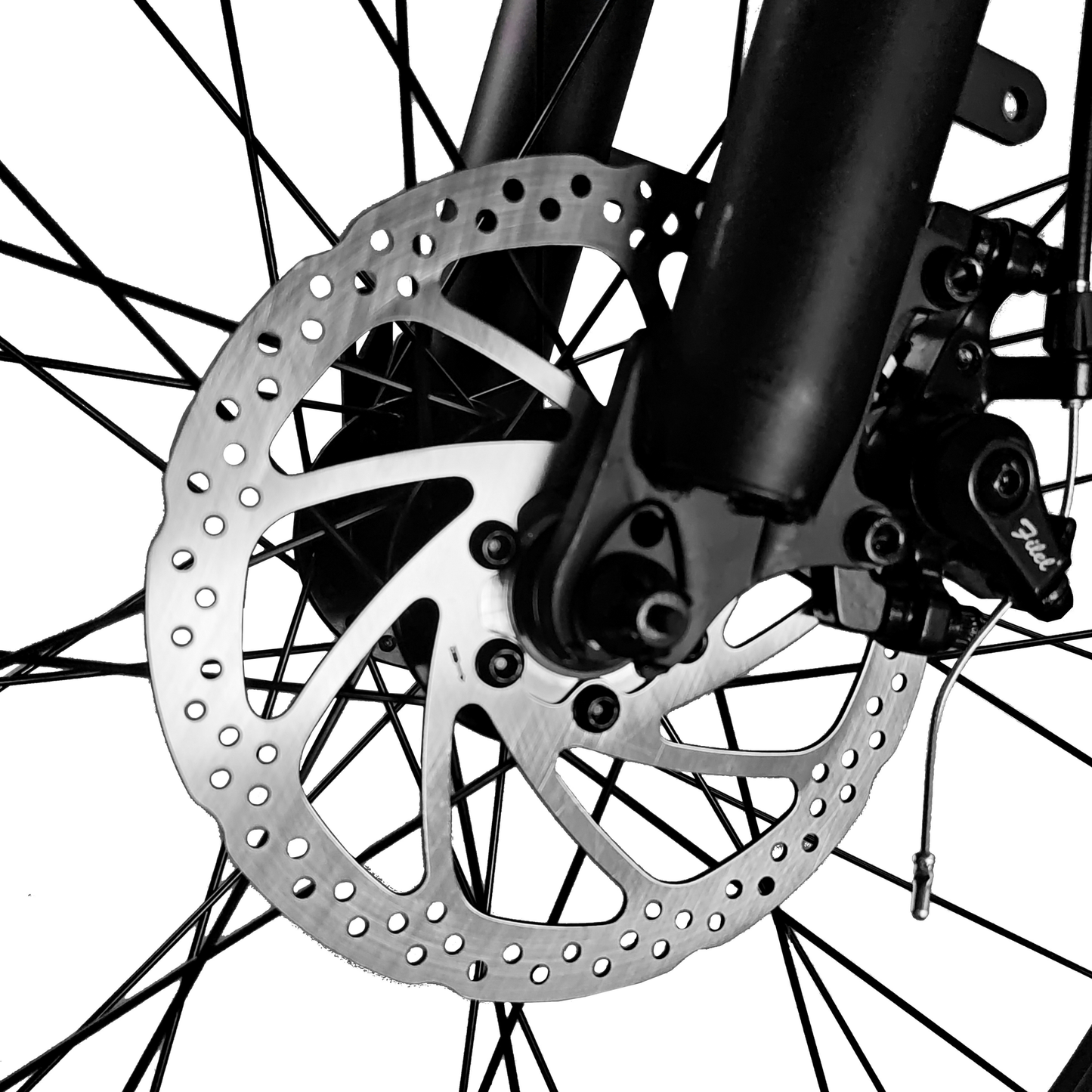 LOOKROAD L26 - Electric bike - Wheelyshop
