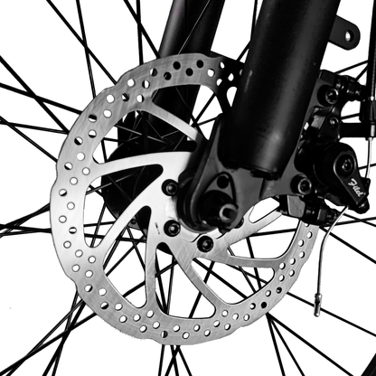 LOOKROAD L26 - Electric bike - Wheelyshop