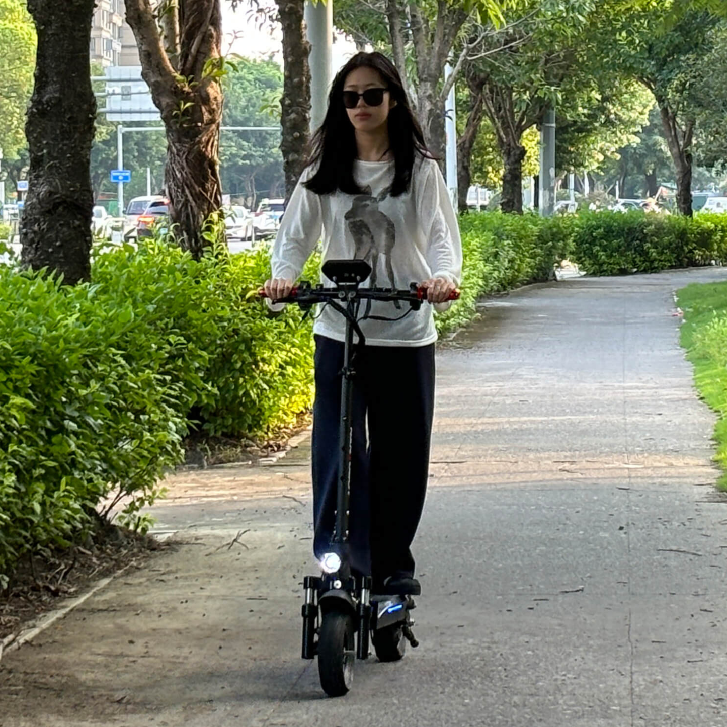 Nanrobot T1