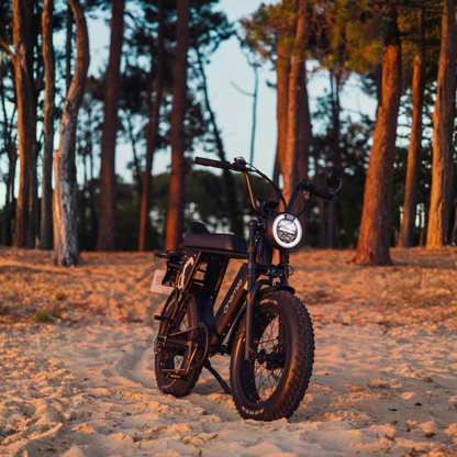 Onemile P40 Pro