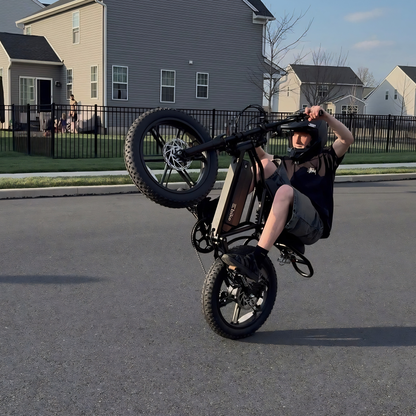 TST R002 Plus - Electric bike - Wheelyshop