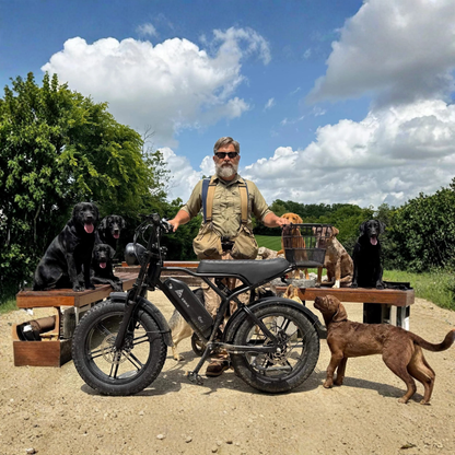 TST R002 Plus - Electric bike - Wheelyshop