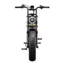 TST R7 fatbike-elcykel rakt framifrån i färgen beige