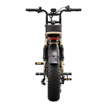 TST R7 fatbike-elcykel rakt bakifrån i färgen beige