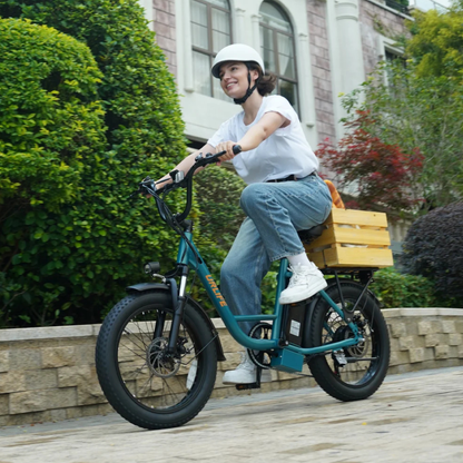 URLIFE E20