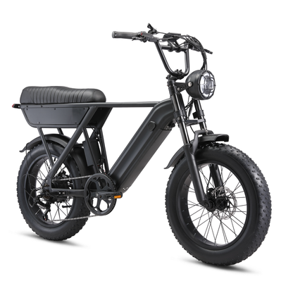 YANGOR Y20