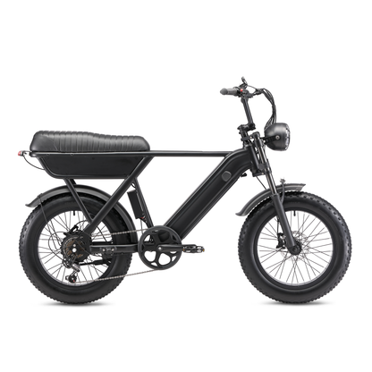 YANGOR Y20