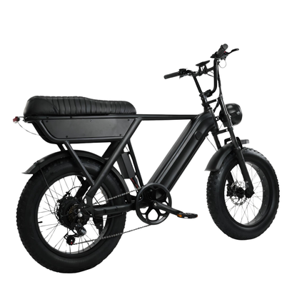 YANGOR Y20
