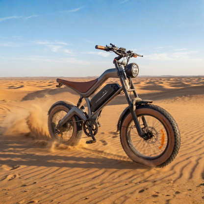 ZONVEER M20 - Electric bike - Wheelyshop