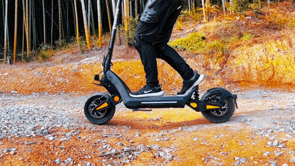 DriveTron DT06 (Dual - Motor) - Elsparkcykel - Wheelyshop