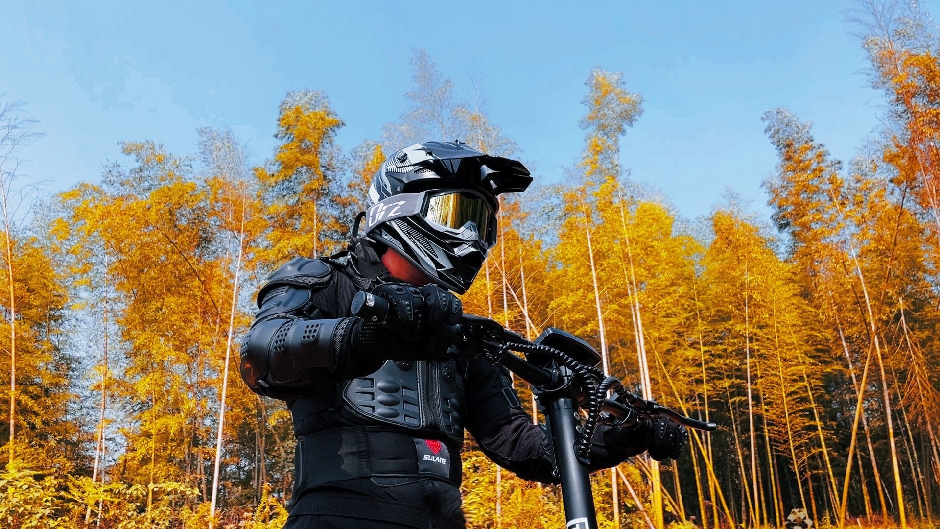 DriveTron DT06 (Dual - Motor) - Elsparkcykel - Wheelyshop