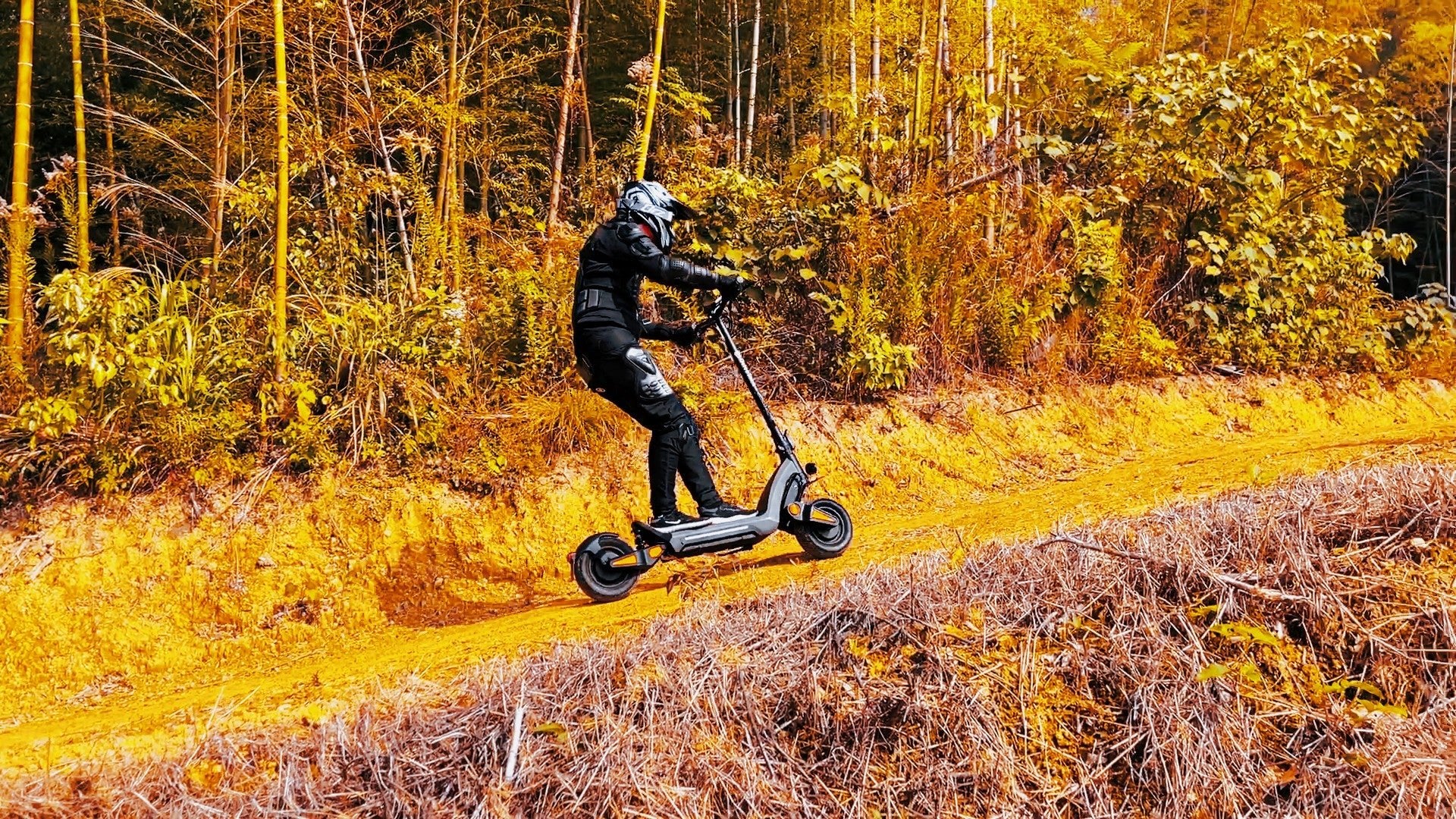 DriveTron DT06 (Dual - Motor) - Elsparkcykel - Wheelyshop