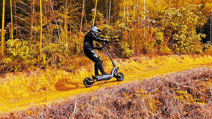 DriveTron DT06 (Dual - Motor) - Elsparkcykel - Wheelyshop