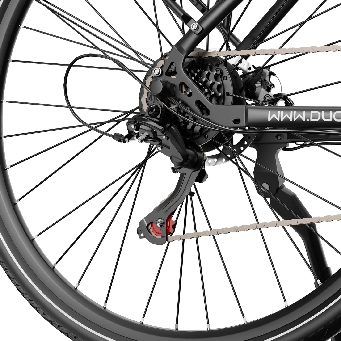 Duott's C29 Lite - Electric bike - Wheelyshop