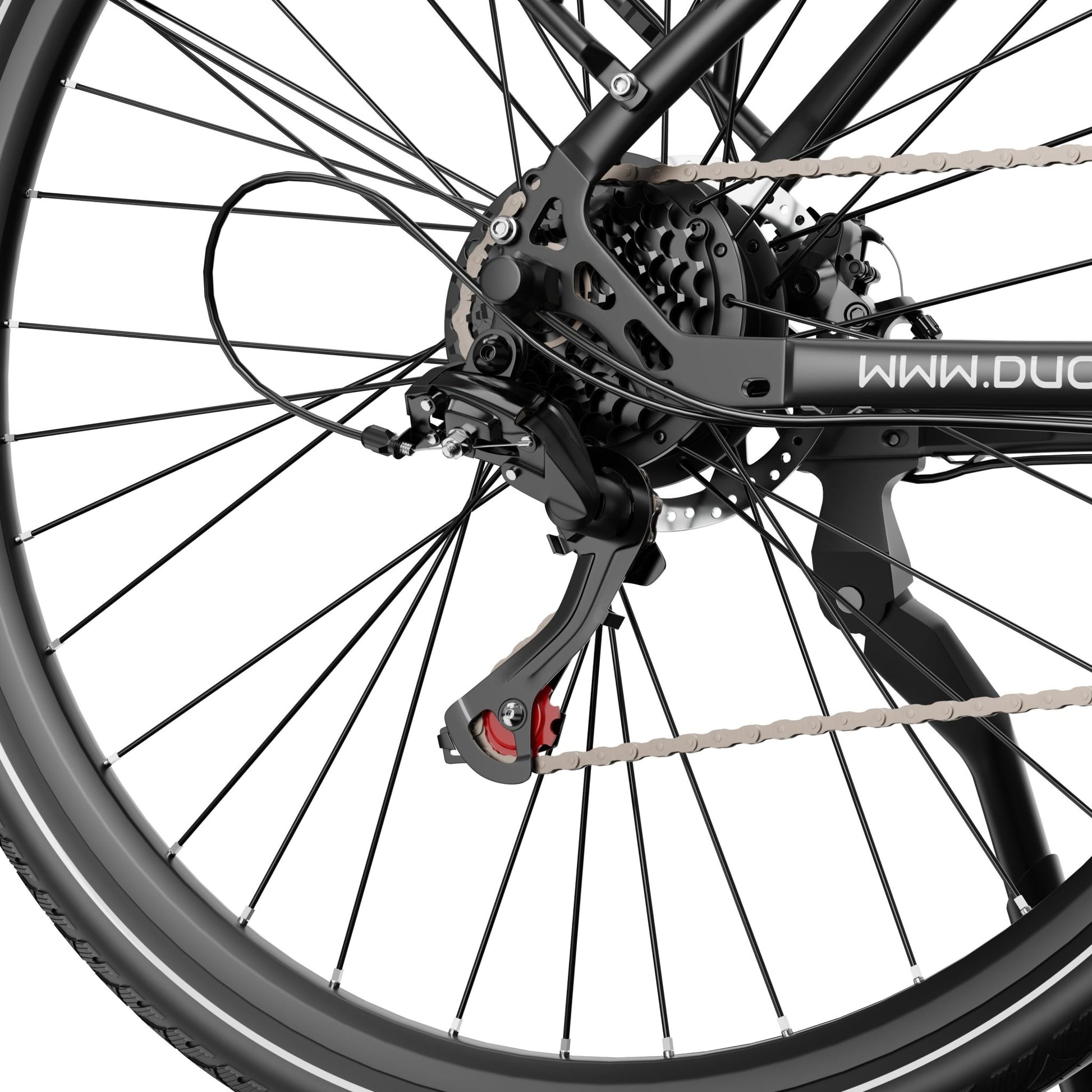 Duott's C29 Lite - Electric bike - Wheelyshop