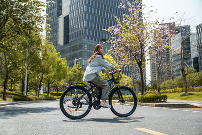 Duotts C29 Pro - Elcykel - Wheelyshop