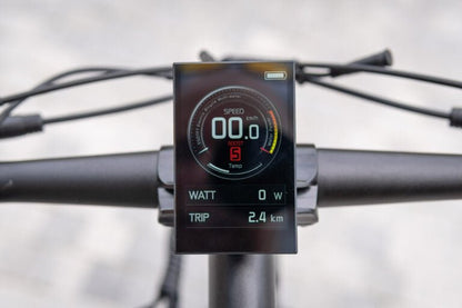 Duotts E29 - Elcykel - Wheelyshop