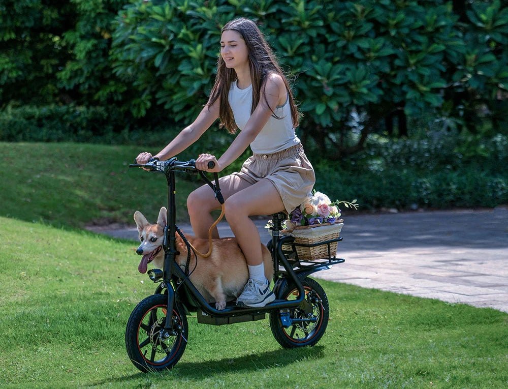 DYU C4 - Elcykel - Wheelyshop