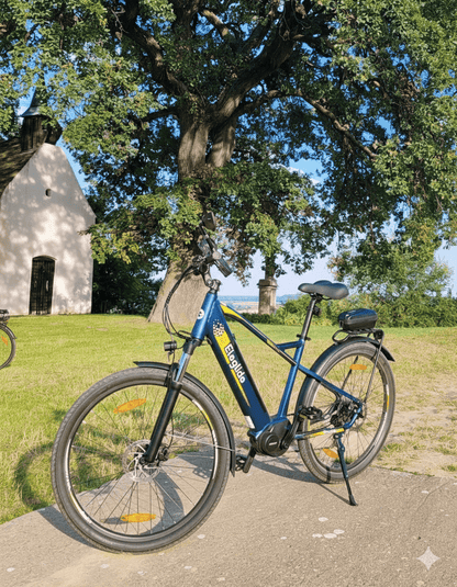 Eleglide C1 - Electric bike - Wheelyshop