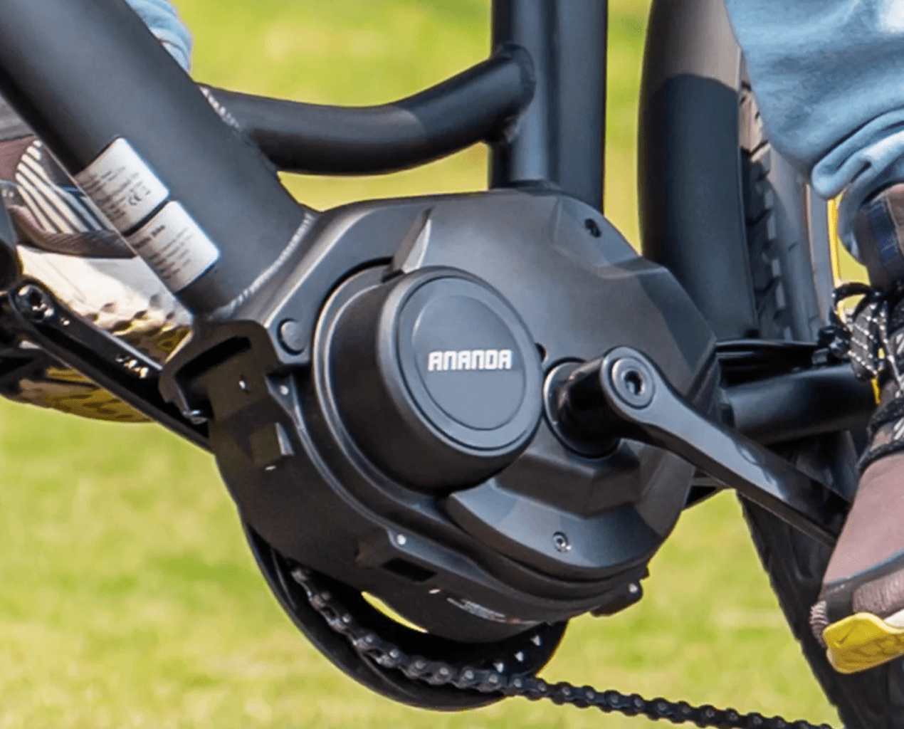 Eleglide C2 - Elcykel - Wheelyshop