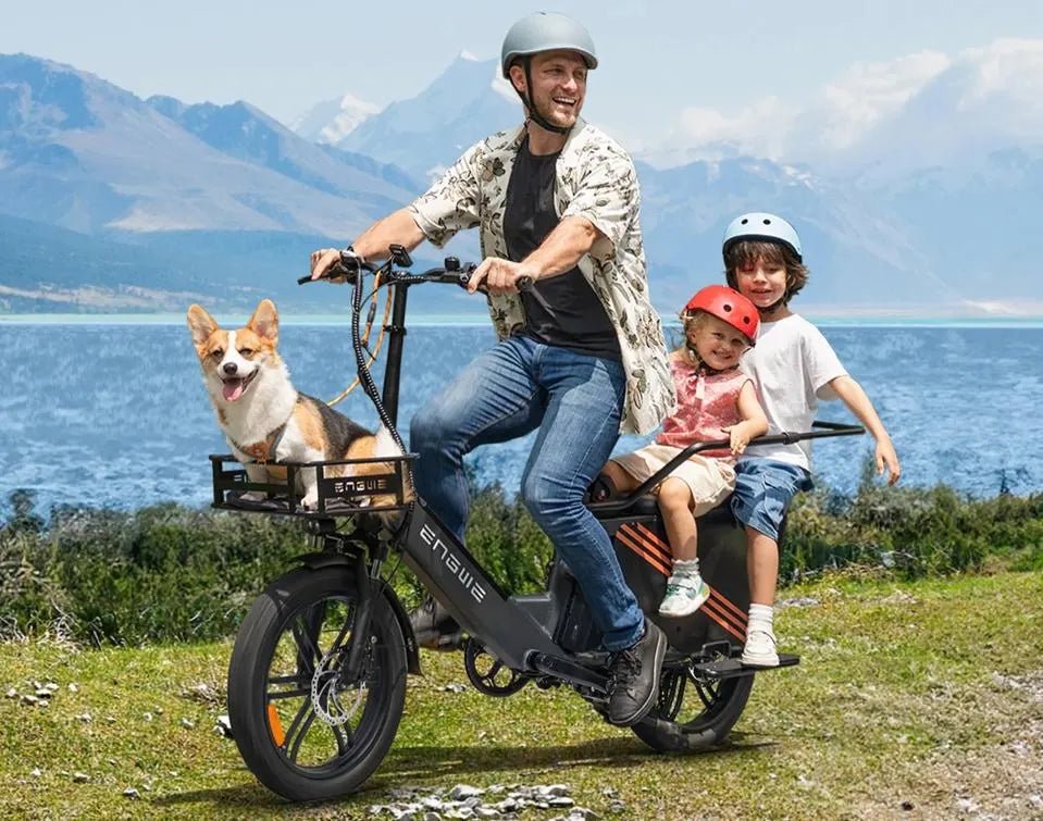 ENGWE LE20 - Elcykel - Wheelyshop