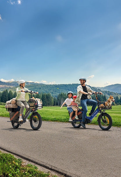 ENGWE LE20 - Elcykel - Wheelyshop