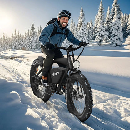 Hidoes B3 - Electric bike - Wheelyshop