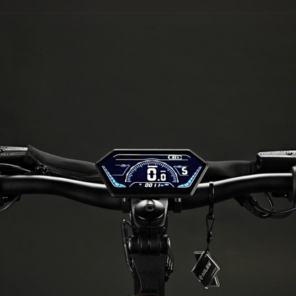 HILEY TIGER 10 V5 - Elsparkcykel - Wheelyshop