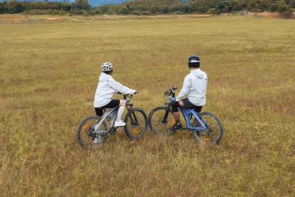 HX Q5 - Elcykel - Wheelyshop