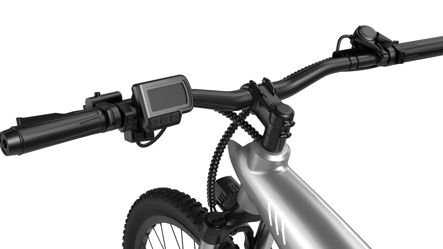 HX Q5S - Electric bike - Wheelyshop