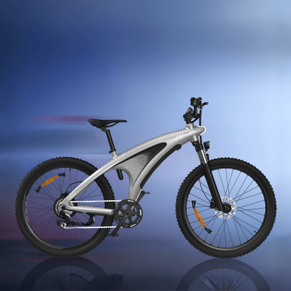 HX Q5S - Electric bike - Wheelyshop
