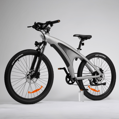 HX Q5S - Electric bike - Wheelyshop
