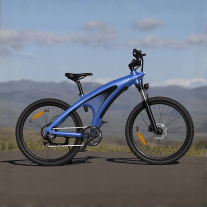 HX Q5S - Electric bike - Wheelyshop