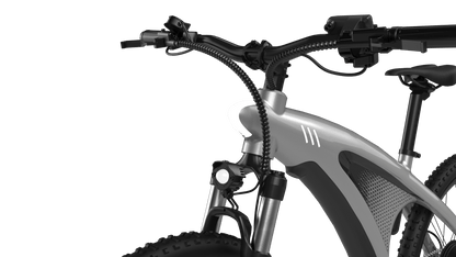 HX Q5S - Electric bike - Wheelyshop