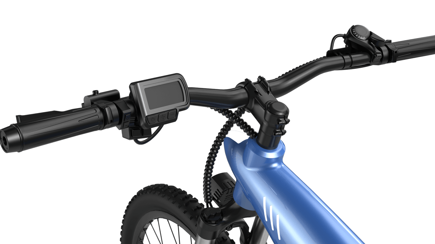 HX Q5S - Electric bike - Wheelyshop