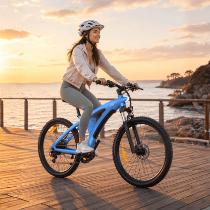 HX Q5S - Electric bike - Wheelyshop