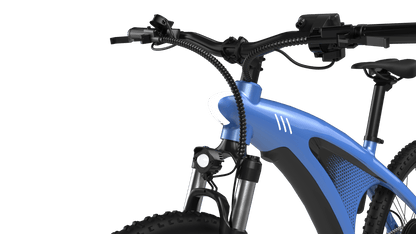 HX Q5S - Electric bike - Wheelyshop